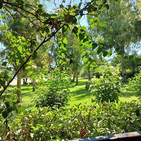Hotel Dirik Surf Datca
