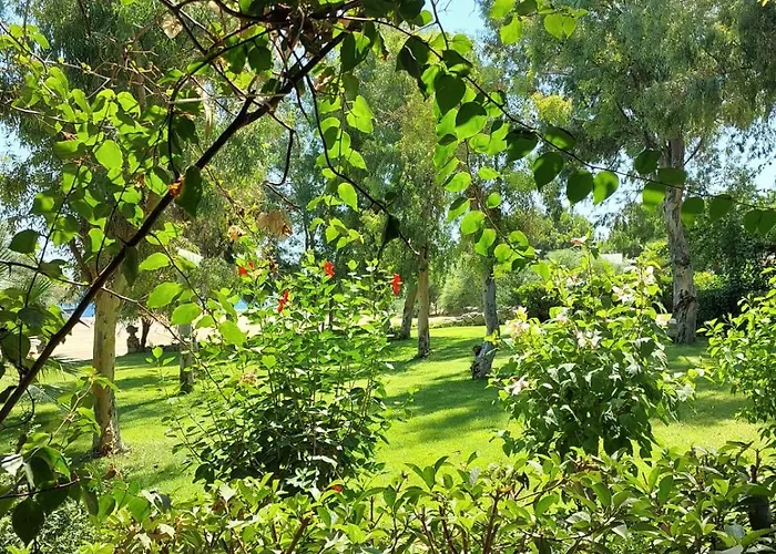 Hotel Dirik Surf Datça